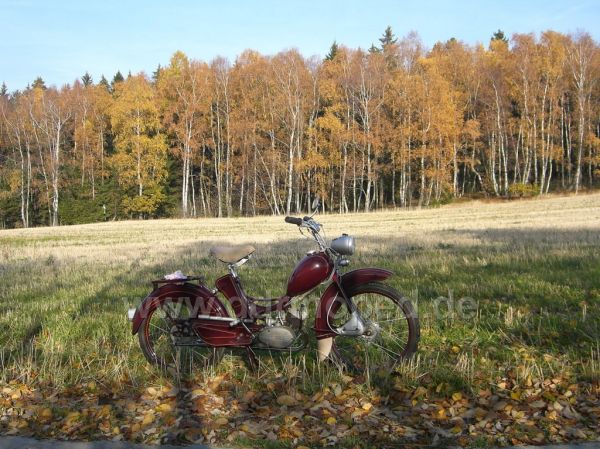 Angefgtes Bild