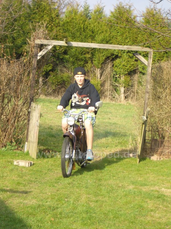 Angefgtes Bild