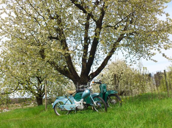 Angef�gtes Bild