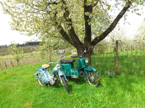 Angef�gtes Bild