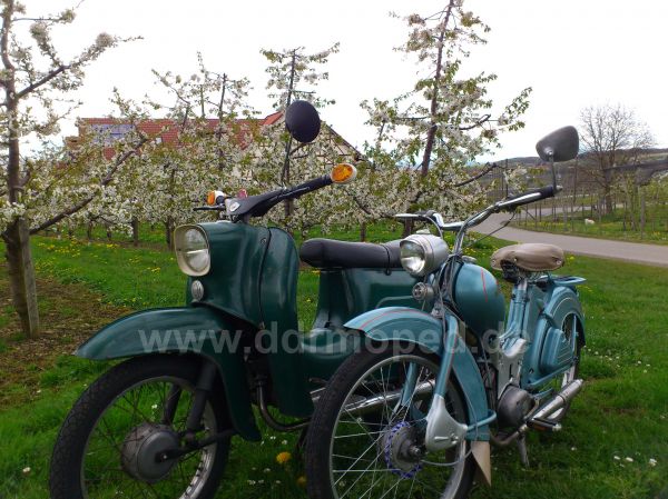 Angef�gtes Bild