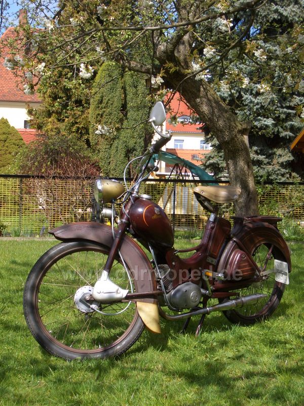 Angef�gtes Bild