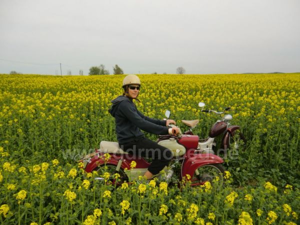 Angef�gtes Bild