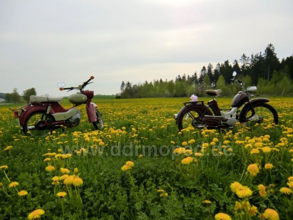 Angef�gtes Bild