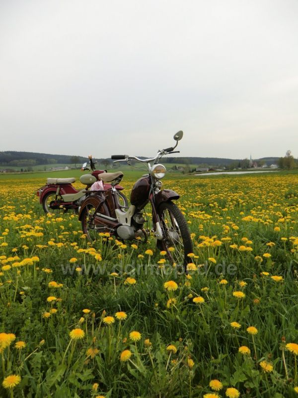 Angef�gtes Bild