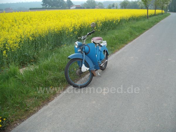 Angef�gtes Bild