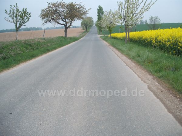Angef�gtes Bild