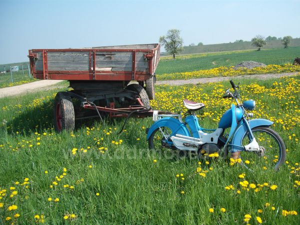 Angef�gtes Bild