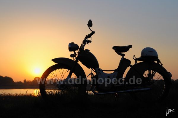 Angef�gtes Bild