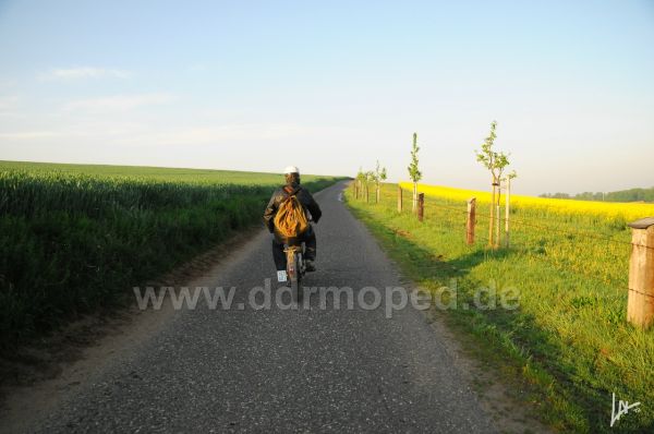 Angef�gtes Bild
