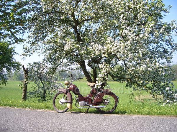 Angef�gtes Bild