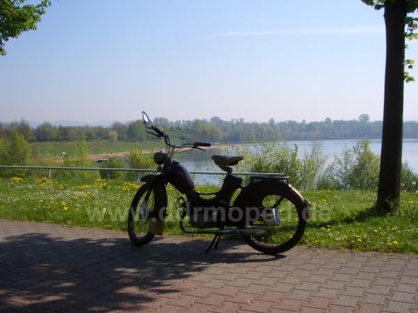 Angef�gtes Bild