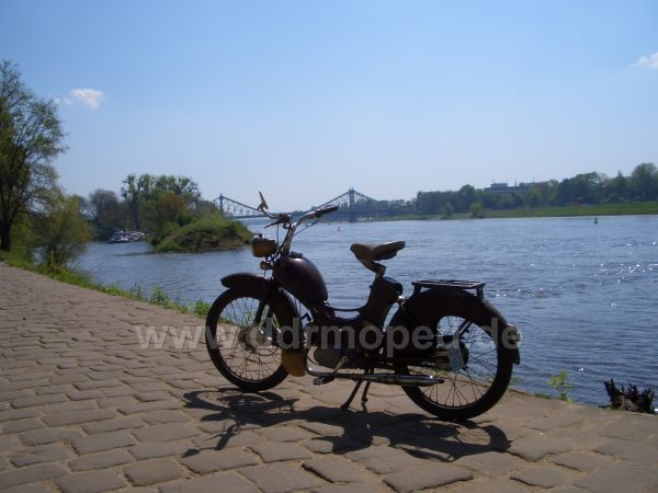 Angef�gtes Bild