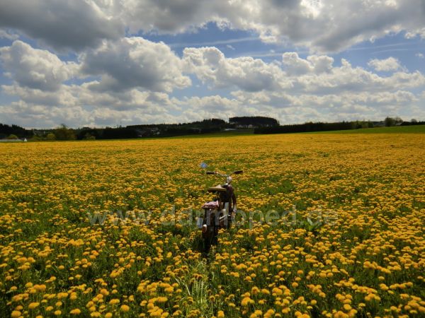 Angef�gtes Bild