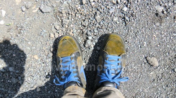 Angef�gtes Bild