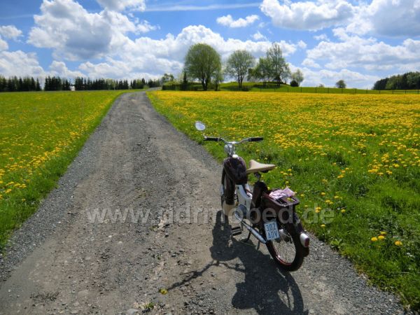 Angef�gtes Bild
