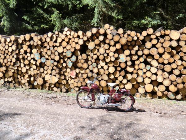Angef�gtes Bild