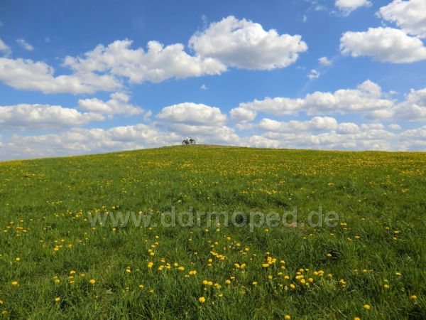 Angef�gtes Bild
