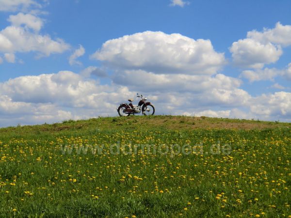 Angef�gtes Bild