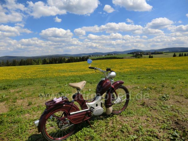 Angef�gtes Bild
