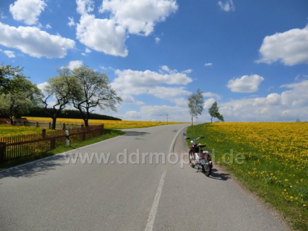 Angef�gtes Bild