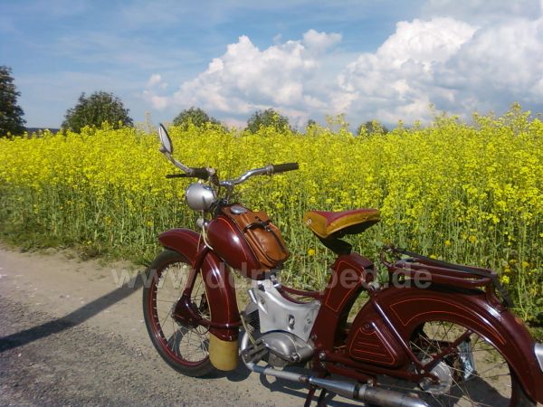 Angef�gtes Bild