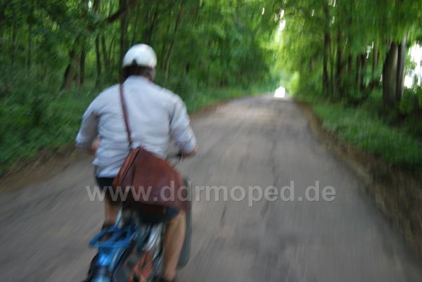 Angef�gtes Bild