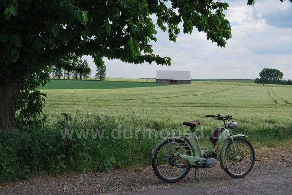 Angef�gtes Bild