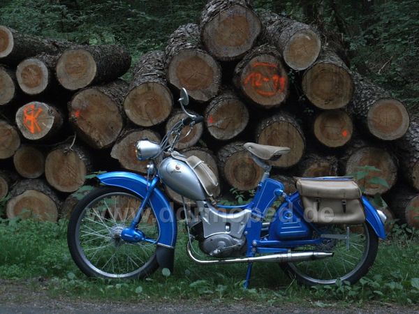 Angef�gtes Bild