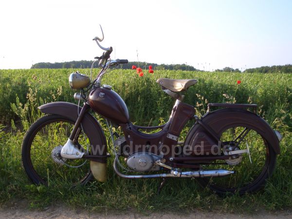 Angef�gtes Bild