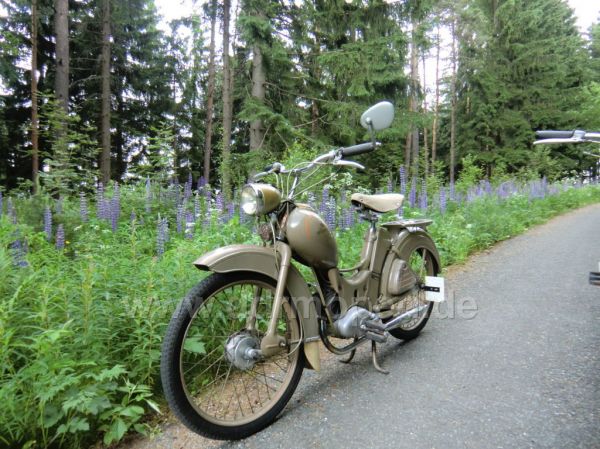 Angef�gtes Bild