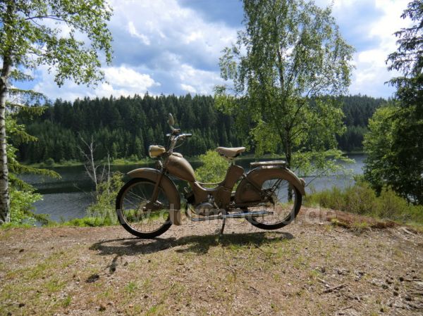 Angef�gtes Bild