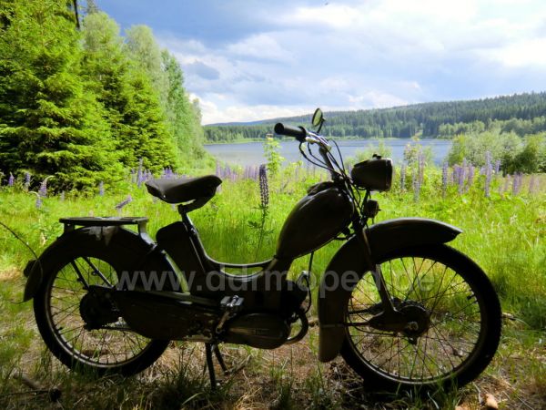 Angef�gtes Bild