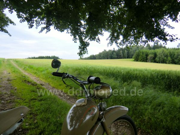 Angef�gtes Bild