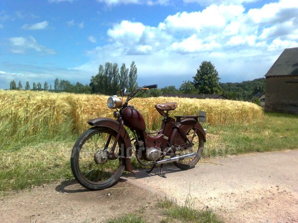 Angef�gtes Bild