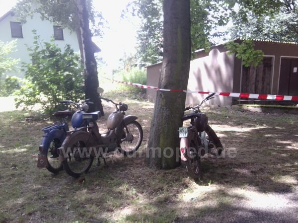 Angef�gtes Bild