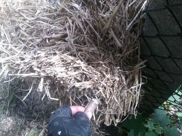 Angef�gtes Bild