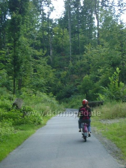 Angef�gtes Bild