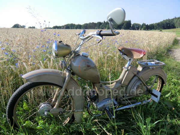 Angef�gtes Bild