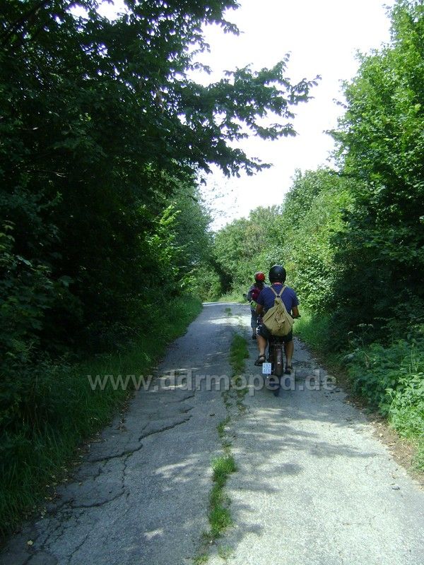 Angef�gtes Bild