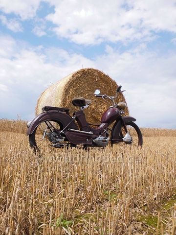 Angef�gtes Bild