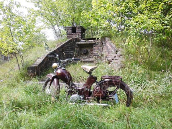 Angef�gtes Bild