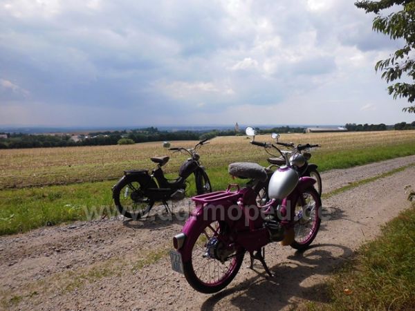 Angef�gtes Bild