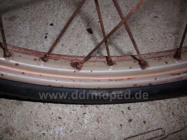 Angefgtes Bild
