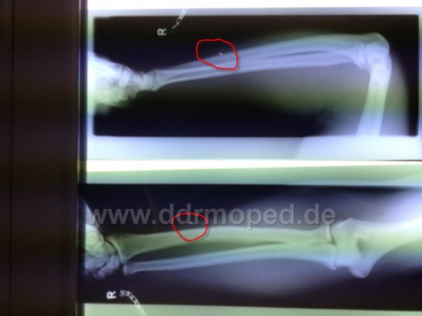Angefgtes Bild