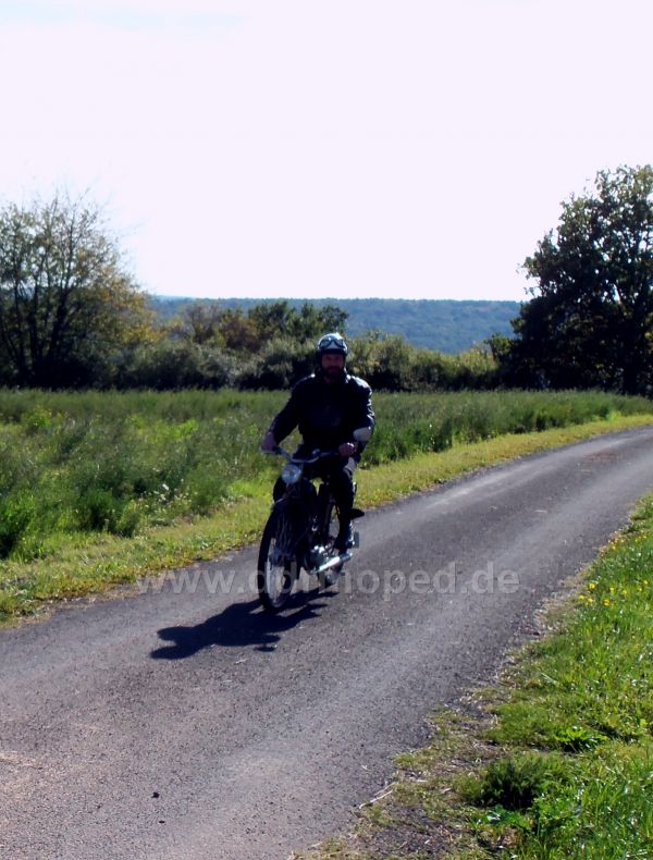 Angefgtes Bild