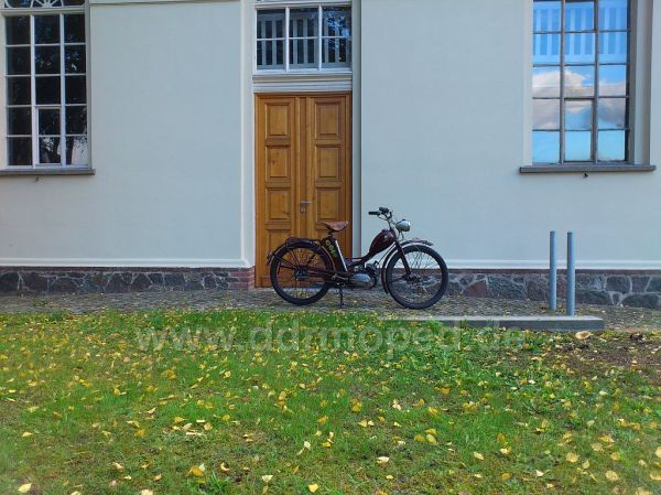 Angef�gtes Bild
