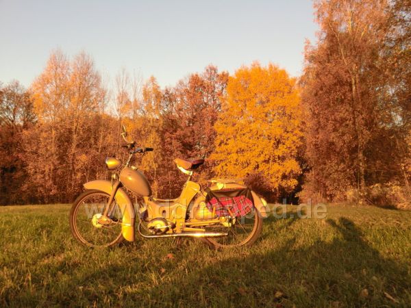 Angef�gtes Bild