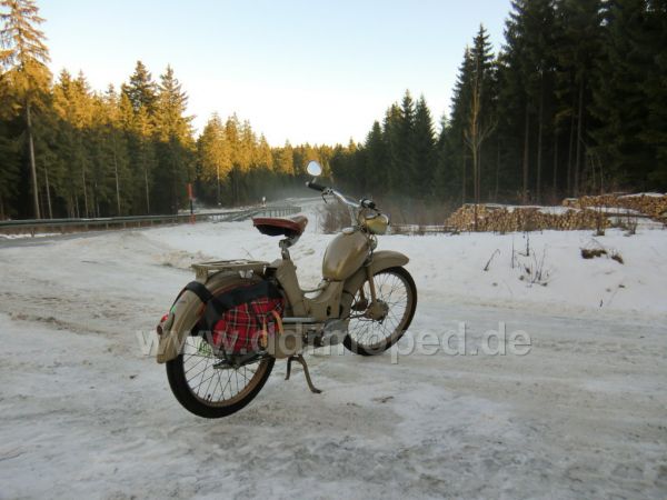 Angef�gtes Bild