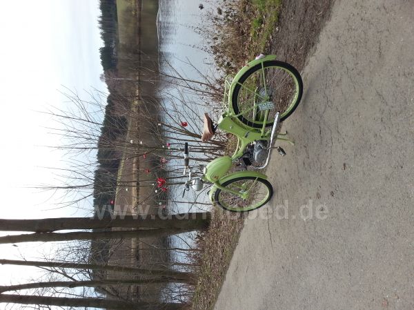 Angef�gtes Bild